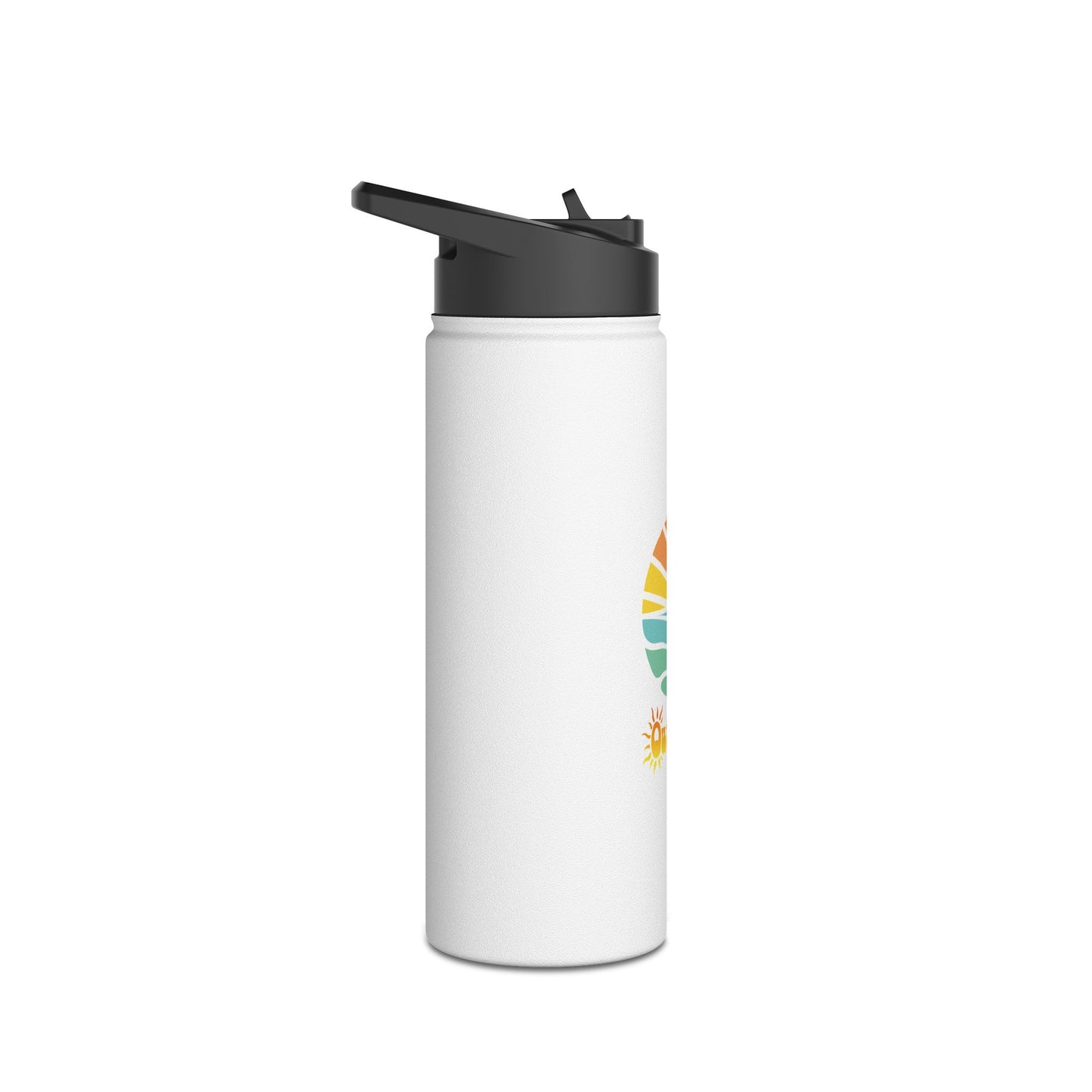 Stainless Steel Water Bottle